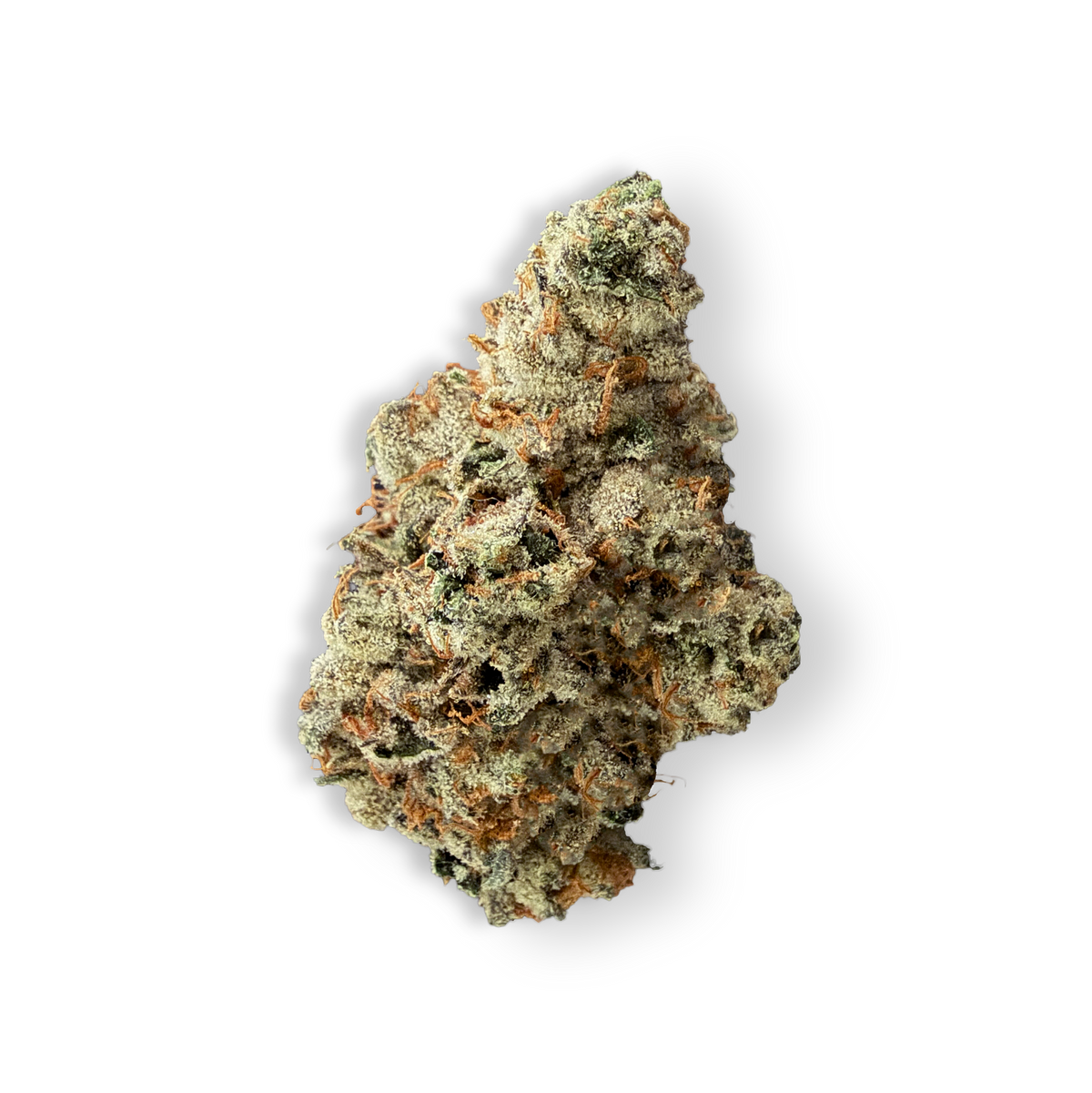 Hell Cat #15 - Sativa