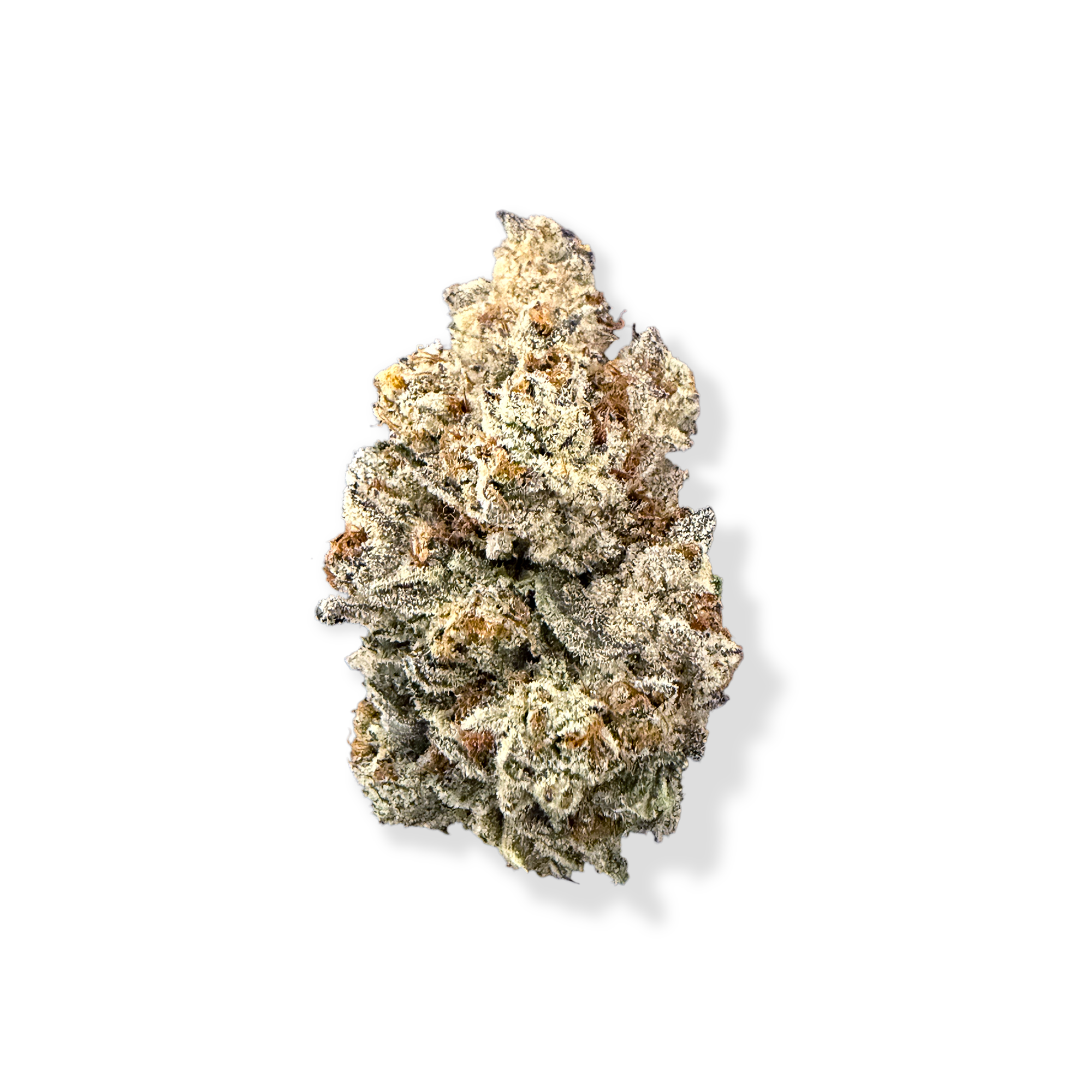 Cherry Apples - Sativa