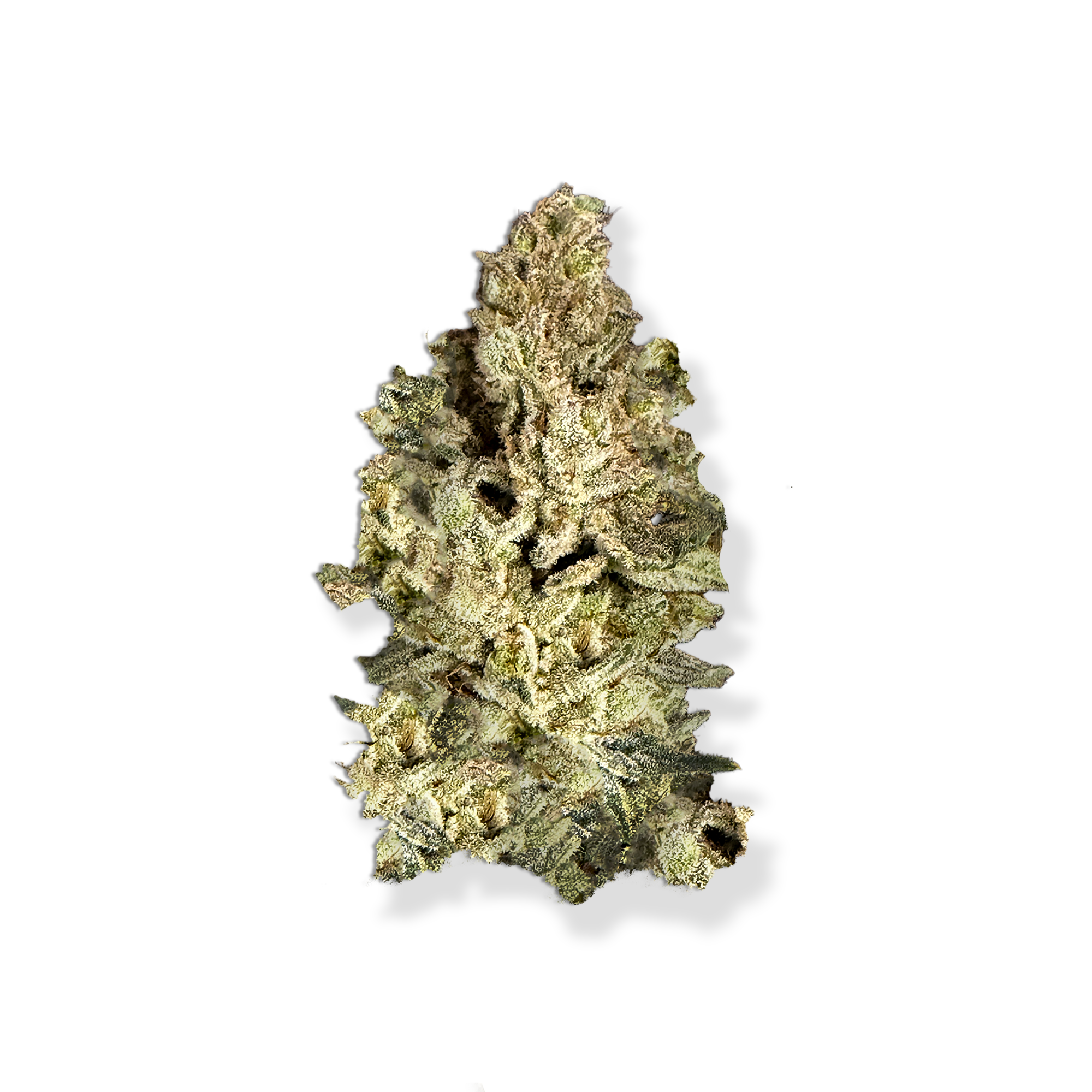 Lemon Tree - Sativa