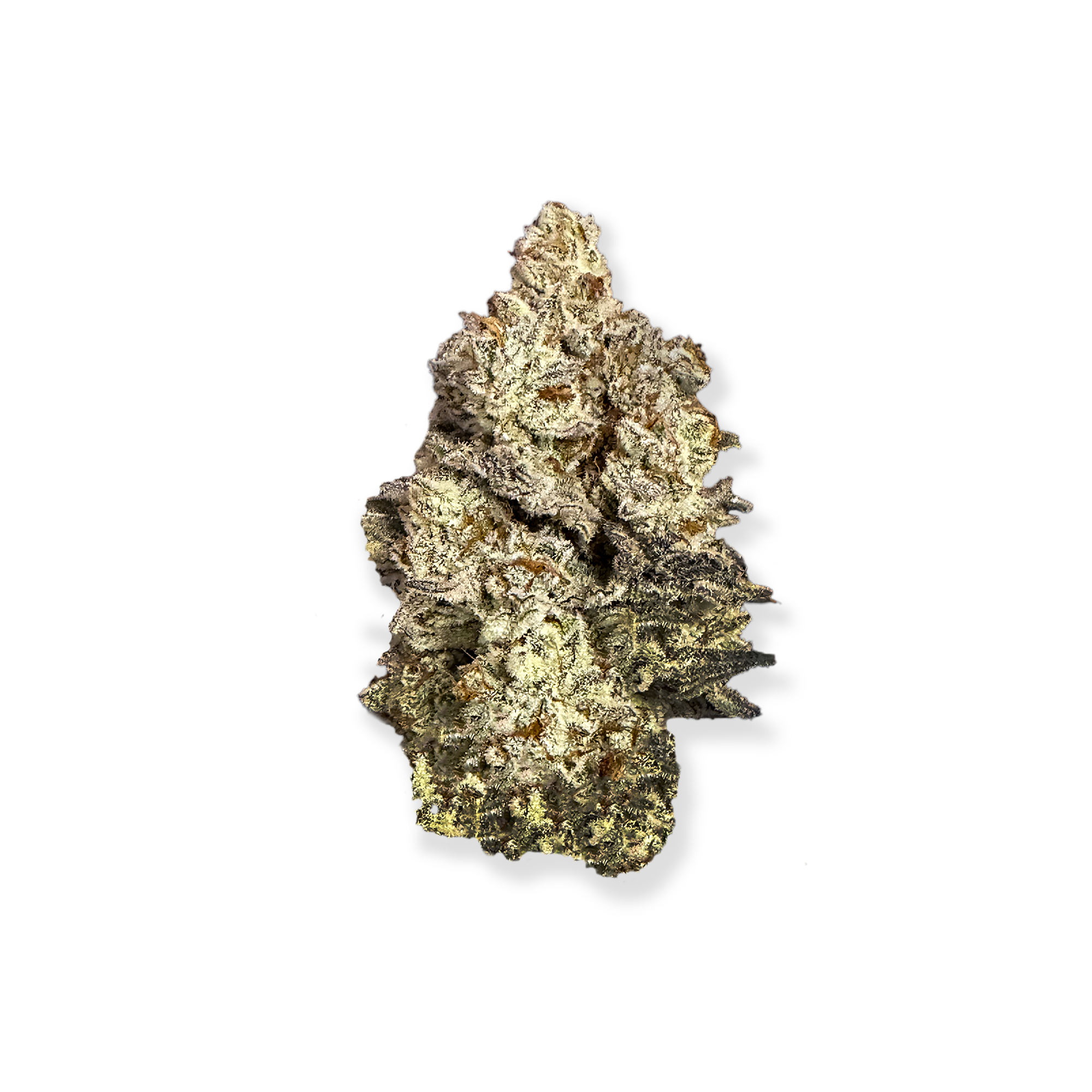 Plasma Fruit - Indica