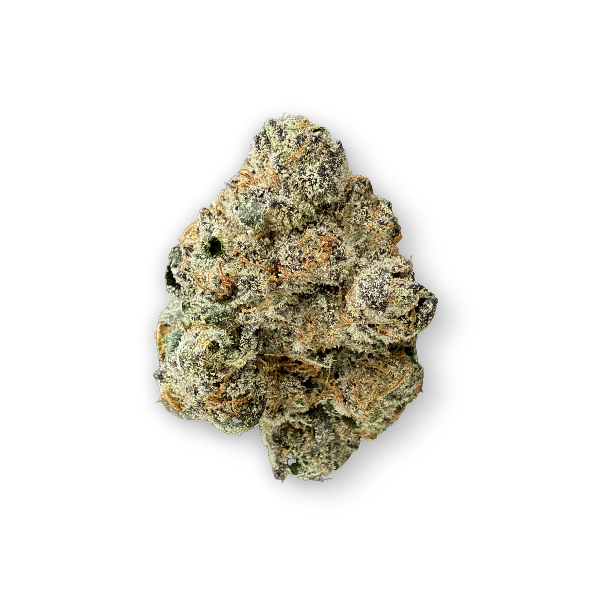 Pink Shorty - Hybrid